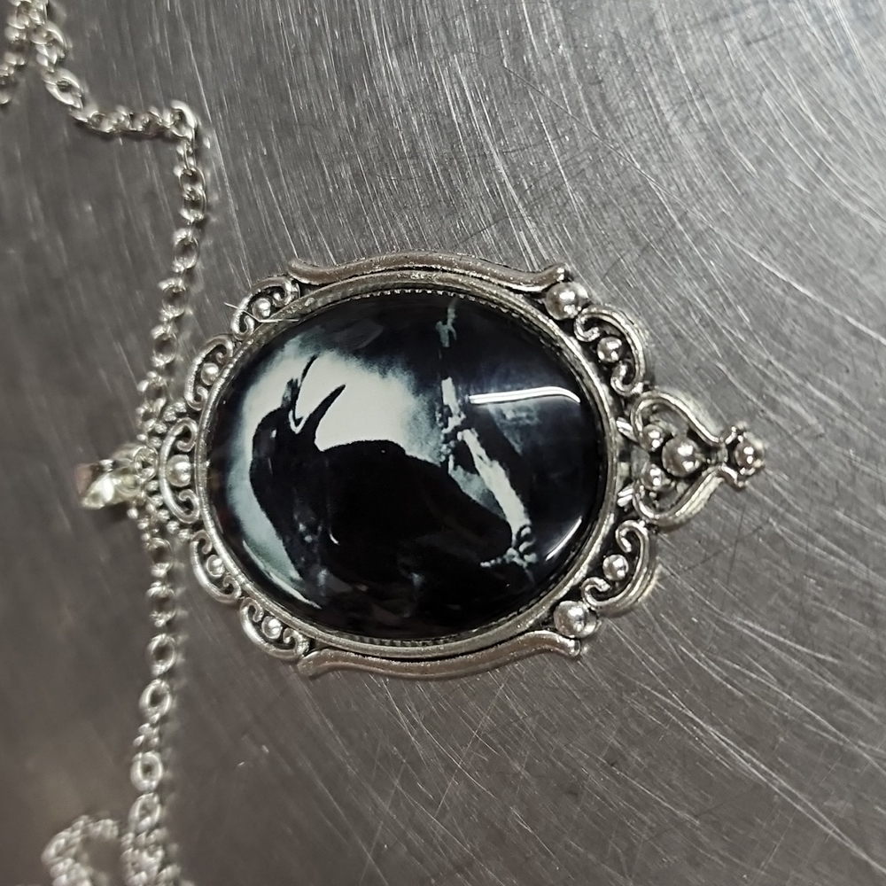 Edgar Allen poe black crow victorian vibes necklace - Picture 3 of 9
